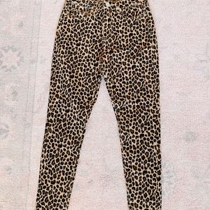 Leopard pants